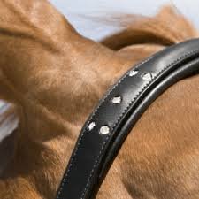 Leather-Halter-Kieffer-Suleika