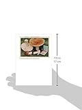Image de The Mushroom Collector