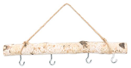 NaDeco® Birkenzweig ca. 30cm mit 4 Haken und Kordel | Hängeast Bike | Deko Zweige mit Kordel | Fensterdekoration | Türdeko | Türhänger | Fensterdeko | Fensterhänger | Türhänger