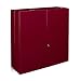Produktbild Relaxdays Medikamentenschrank Edelstahl XXL H x B x T: 53 x 52,5 x 19,5 cm mit 11 Ablagen für viel Stauraum und Türen zum Abschließen samt 2 Schlüsseln Medizinschrank im modernen Stil fürs Bad, rot