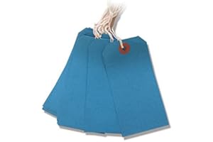 QUICK PACK SUPPLIES LTD 250 Pack - 120 x 60mm Blue Coloured Strung Tags
