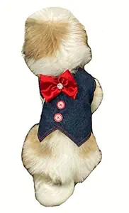 Oz International Dog Denim Waist Coat Party Dress Shirt with Bow Tie for Small Dogs and Puppies Like Pug, Beagle, Spaniel, Spitz, Apso, Etc.