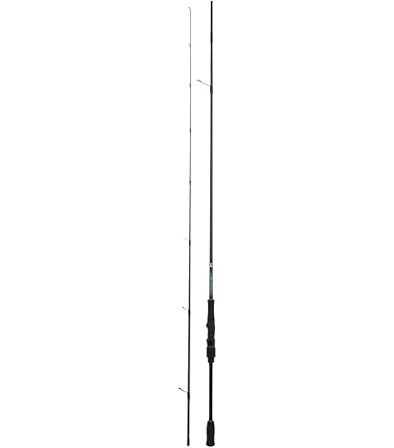 Canne à Pêche Daiwa EMERALDAS X 86MH Pour Eging (calamar) - Neuve