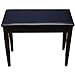 Produktbild KORG PC500 Poliertücher Satin Piano Bench mit Speicher-fach – schwarz