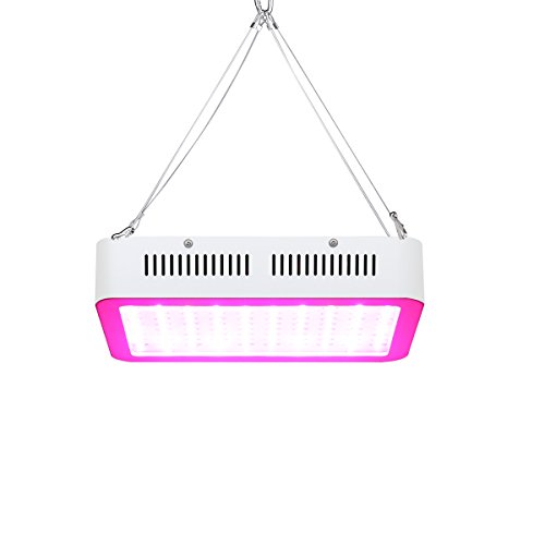 Preisvergleich Produktbild Lampwin LED Pflanzenlampe Vollspektrum Wachsen Licht 300W 100 LEDs, Zimmerpflanzen Wachstumslampe, Pflanzen Panel Beleuchtung für Hydroponic Gewächshaus Gartenarbeit Gemüse Blooming Growbox (6 Farben: Rot: 68, Blau: 20, Weiß: 8, Orange: 2, UV: 1, IR: 1)