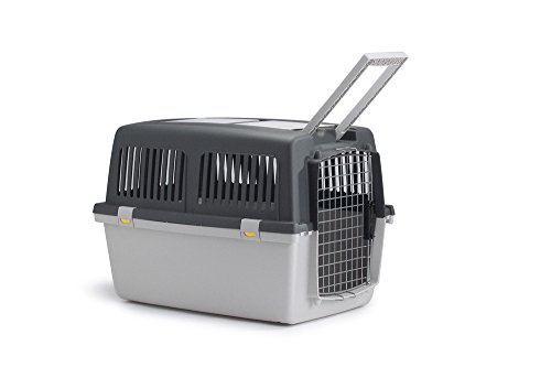 Stefanplast 4-97450 Gulliver 5 Iata, Transportador, 61 x 60 x 81 cm, Color Gris