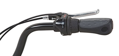 PROPHETE Alu-City GENIESSER 7.3 - 5