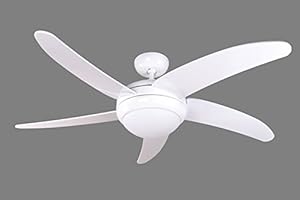 Pepeo, Ventilatore da soffitto, Bianco, incl. telecomando, 132012_FB