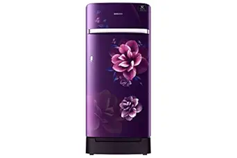 Samsung 198 L 3 Star Inverter Direct-Cool Double Door Refrigerator (RR21T2H2YCR/HL, Camellia Blue)