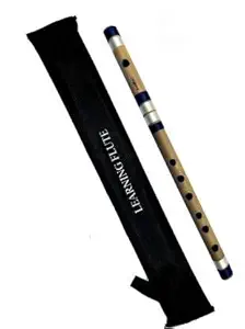 Rockon D scale beginner flute with carry case