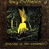 Preisvergleich Produktbild Dancing in the Shadows