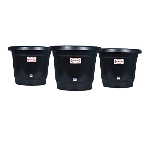 Pepper Agro Gardening Planter Black Flower Pots 8inch Set of 3Qty