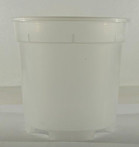 VESSEL TRANSPARENT PLASTIC IDEAL FOR ORCHIDS 6 piece (17)