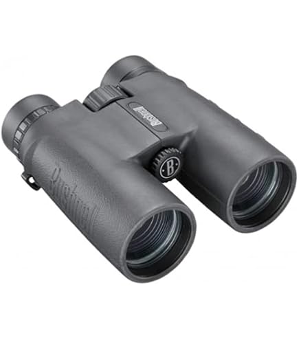 Jumelles Bushnell Powerview 2 10x42