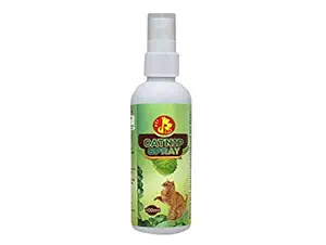 Pet Care International (PCI) Catnip Spray Natural Way to Relax and Train Your Cat/Kitten (100ml)