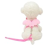 ❤️Paket umfassen: 1*Hundeleine