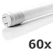 Produktbild 60 x AEG121060 LED Röhre Tube 10W T8 G13 59cm inkl. Starter+Splitterschutz 4000K