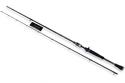 SeaQuest 2-Pieces Canne A Pêche Moyen Lourd Poteau En Fibre De Carbone Spinning Portable