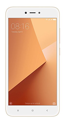 Mi Y1 Lite (Gold, 16GB)