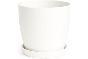 Home Garden Ornaments Plant Pots Indoor, Indoor Plant Pot - Decorative Flower Pots with Mat Surface and Plant Pot Saucer (Diameter: 14cm, Colour: White)