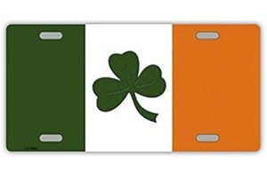 Inga - Placa de Metal para matrícula de Irlanda, 15 x 30 cm