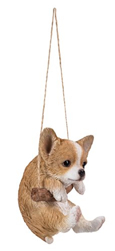 Rocken, Chihuahua Hund Ornament-von Vivid Arts - 3