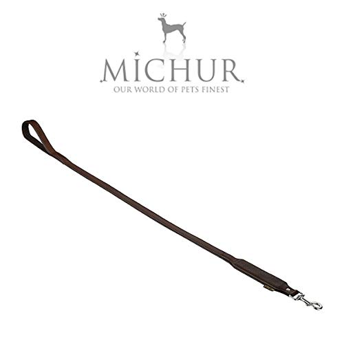MICHUR Favre Cane al guinzaglio in Pelle, Pets, guinzaglio in Pelle Cani, in Pelle, guinzaglio, Marrone gr. 120 cm x 2,5 cm, Si Adatta al Collo Favre