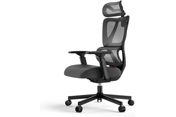 ProtoArc EC100 Ergonomic Office Chair