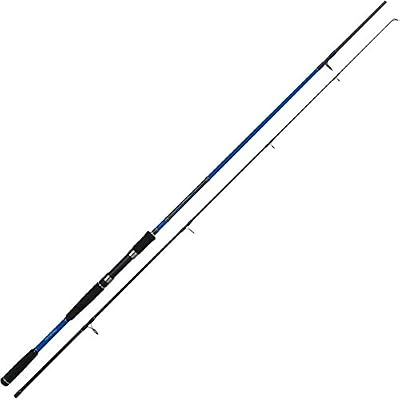 Daiwa CANNE DAIWA CROSSFIRE SEABASS 2.4m / 7-28gr