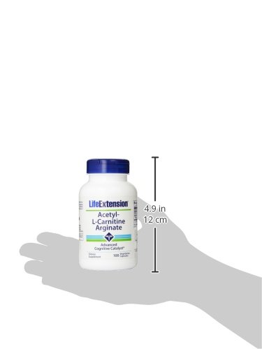 Life Extension Acetyl L Carnitine Arginate 100 Vegetarian Capsules |  Desertcart Mauritius