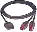 Produktbild Epson PUSB-Y-Kabel Cable: 010842 A CyberData P-USB 3 m (EDG)