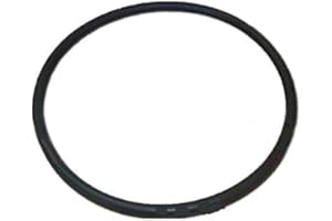 AstralPool Junta de la Tapa del prefiltro de Victoria Plus