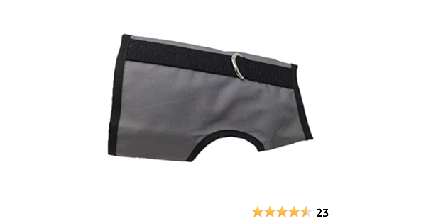 kitty holster cat harness amazon