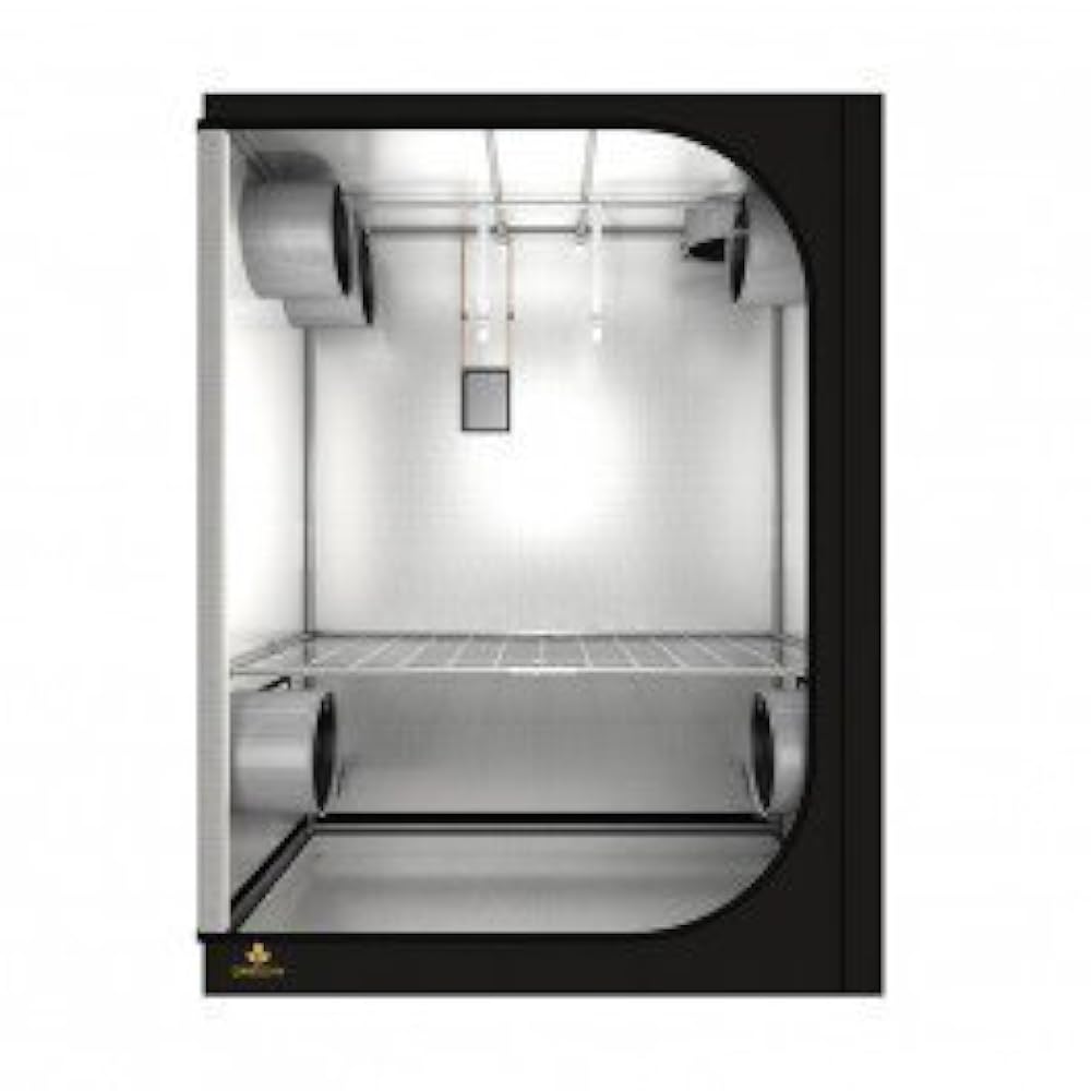 Darkroom. проявка фотографий. лаборатория для проявки пленки. печать фотографий в темной комнате. Darkroom.