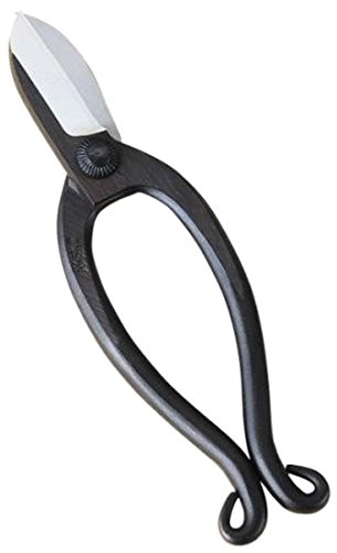 Preisvergleich Produktbild Sakagen Japanische Ikebanaschere Parker