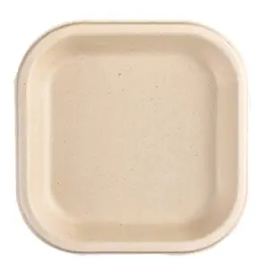 CHUK Snack Plate, Beige, 7 Inch, 50 nos