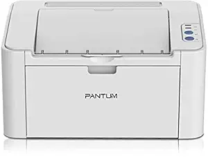 Pantum P2200 Laser Printer (Grey)