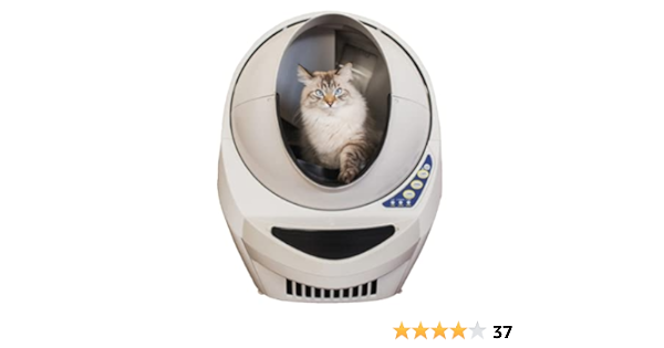 robot kitty litter