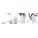Royals Magic Tablet Coin Tissue (100)