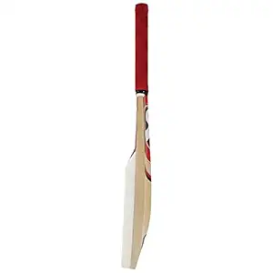 SG Catch Bat (Colour May Vary)