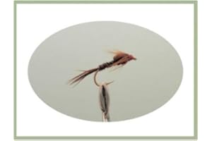 TROUTFLIESUK NYMPHS Weighted Pheasant Tail Nymph Trout Fly, 6 Pack weighted Body, Choice of sizes, Fly Fishing