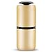 Produktbild LIQICAI Auto Luftreiniger Negative Ionen Aktivkohle HEPA Becherfilter Lärmarme Energieeinsparung Dual-USB-Ausgang, 65.5 x 162mm (Farbe : Gold)