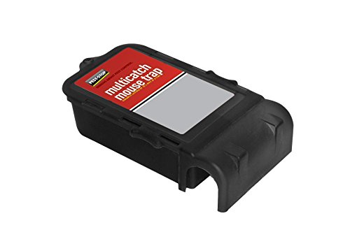 Procter Bros Ltd PSMMT - Trampa para roedores (plástico)