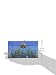 Trousselier Rainbow Fish Music Box (Blue)