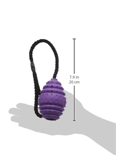 Classic-Pet-Products-Rubber-Oval-Ball-on-a-Rope-Large-100-mm-PurpleBlack