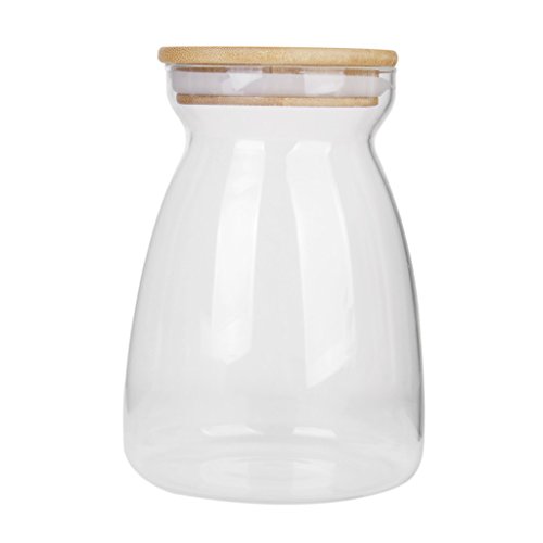 H förmigen Speicher mit Deckel Flasche Klarglas Vase für Pflanze Blume Dekor