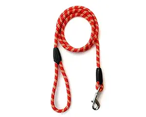 PetWag Nylon Dog Rope Leash, Small - 48 inche (4ft), Red - 9mm