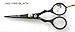 Professional Hairdressing Scissors 4.5 inch, BLACK, Top Quality - by Sanguine