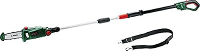 Bosch 06008B3101 UniversalChainPole 18 Elagueuse sur perche sans-fil, Vert