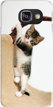 Samsung Galaxy A3 (2016) Ultra Slim HARD case Bébé chat, mignon chaton escalade - smartphone Samsung Galaxy A3 (2016) decorative case accessories By Mobilinnov